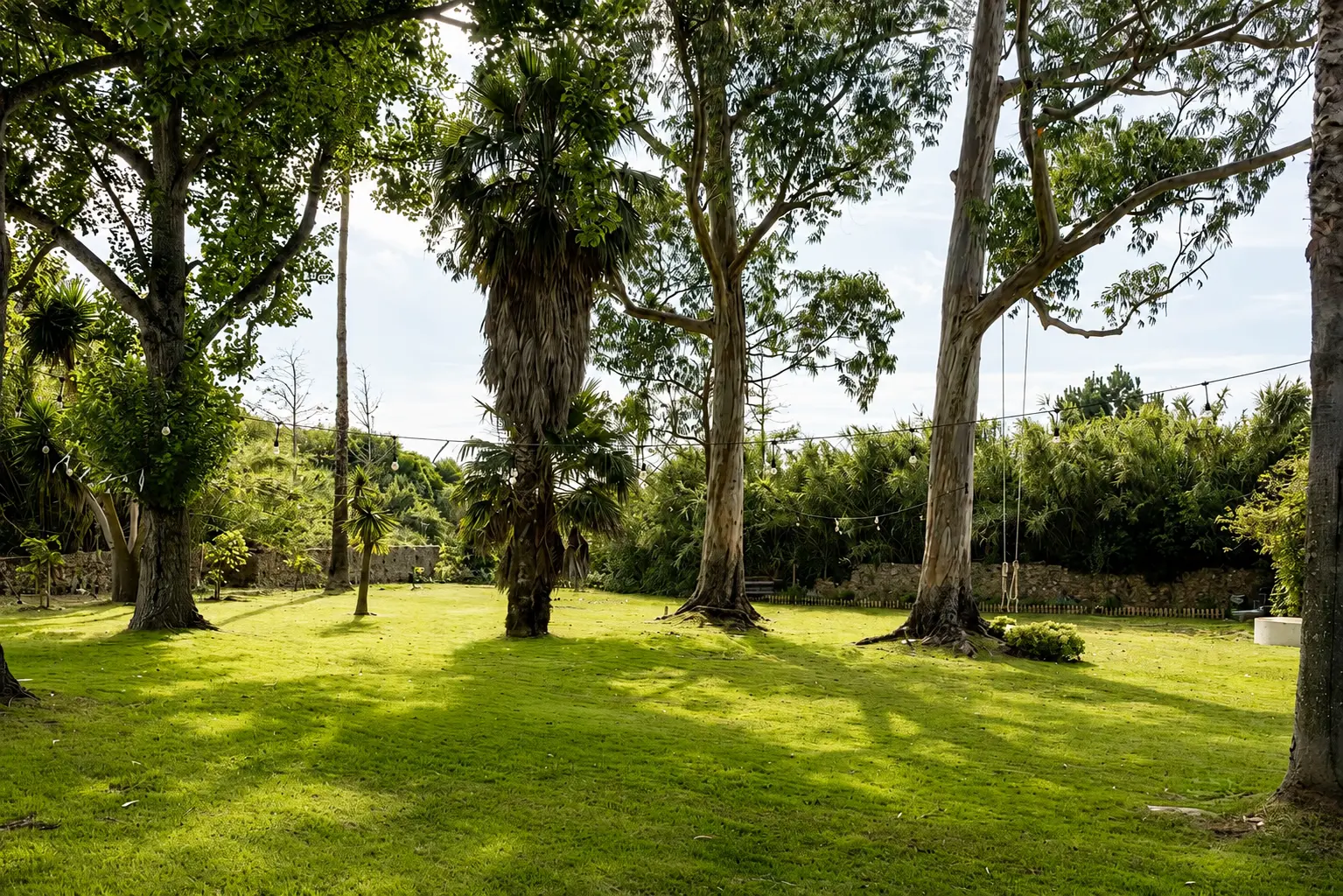 The garden at Casa Pavão under the eucalyptus trees