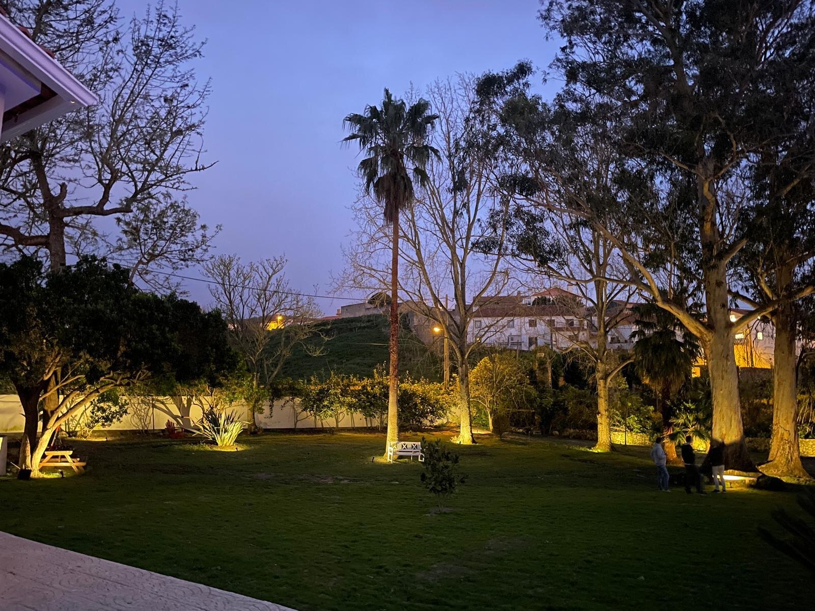 The garden at dusk, palms and eucalyptus uplit against a purple-blue sky